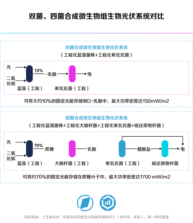 合生万物，重塑未来——第一财经《未来产业系列白皮书丨合成生物篇》发布-22.jpg