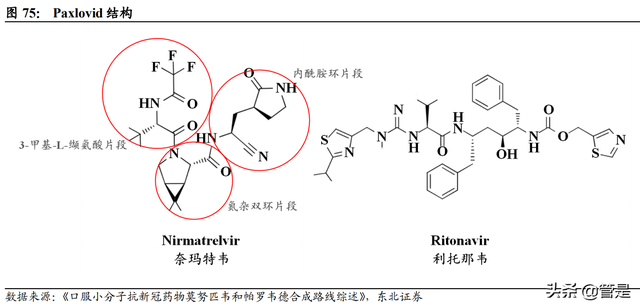 新和成研究报告：营养健康起家，不断拓张边界的国内精细化工龙头-19.jpg