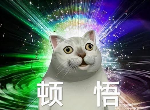 素力高猫粮好还是美仕好-7.jpg