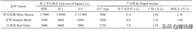 湖南澧县‘阳光玫瑰’葡萄生产成本与效益分析-2.jpg