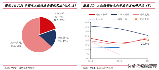 立足磷化工，川发龙蟒：磷酸铁锂产业巨头，矿化一体保障长期长大-14.jpg