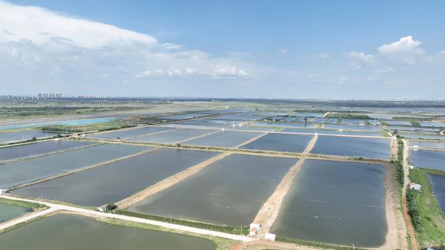 《大地》武汉乡村振兴周刊“闯关”特别报道-18.jpg