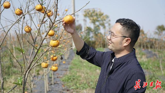 《大地》武汉乡村振兴周刊“闯关”特别报道-19.jpg