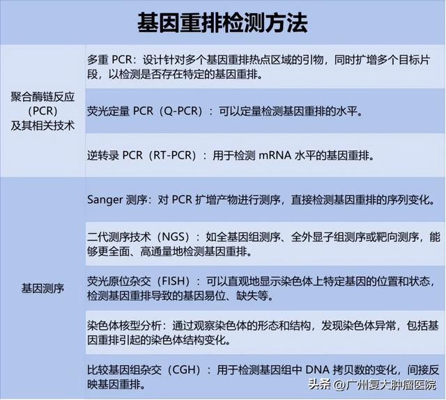 徐克成大讲堂 | 聊聊基因重排检测那些事-6.jpg